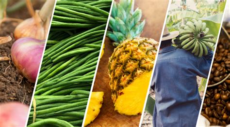 agriculture companies near me|22 Profitable Agribusinesses In The Philippines .